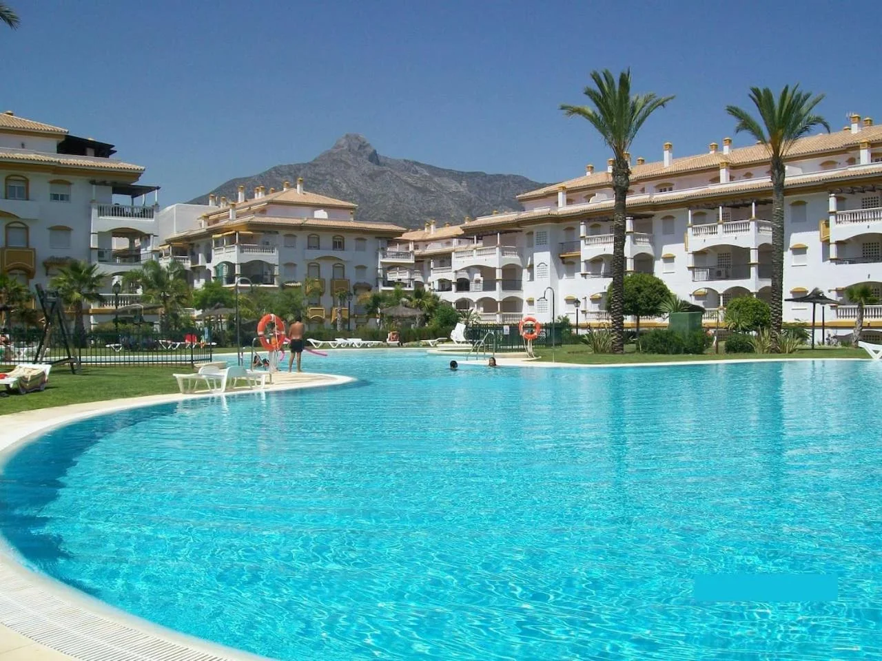 Piscina grande rodeada de césped y palmeras